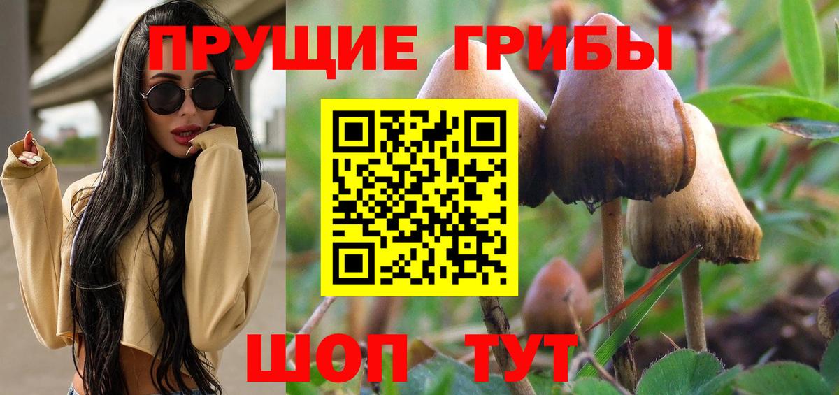 Псилоцибиновые грибы Cubensis Братск